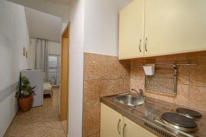 Kuchyň nebo kuchyňský kout v ubytování Studio Holiday Adriatic