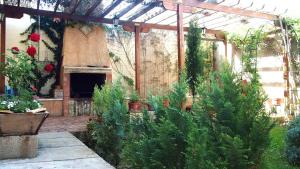 un jardín con plantas frente a un edificio en Casa Azahar, en Villalba de la Sierra