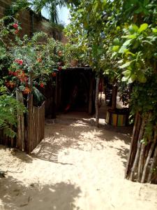 un jardin avec des arbres et des fleurs dans le sable dans l'établissement Maria Teresa Bragança Pousada, à Jericoacoara