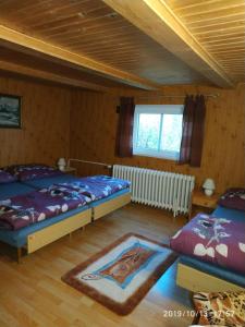 Katil atau katil-katil dalam bilik di Pension Panorama