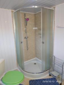 y baño con ducha y taburete verde. en Pension Panorama, en Tanvald