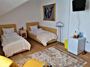 ein Zimmer mit zwei Betten, einem Fernseher und einem Teppich in der Unterkunft Tudor Central House Sibiu in Sibiu