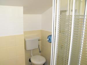 a bathroom with a toilet and a shower at Hazelbrook Lodge in Dublin