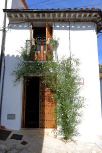 a white building with a door and a plant at Casa Rural en Grazalema in Grazalema