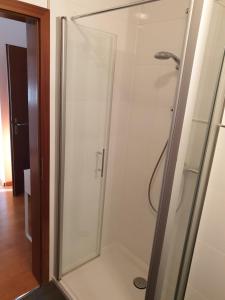 a shower with a glass door in a bathroom at Andinas Ferienwohnung in ruhiger Lage direkt am Wald in Wilnsdorf