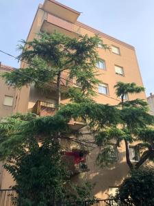 un edificio alto con un albero di fronte di Sweet Home a Trieste Altre 7 foto