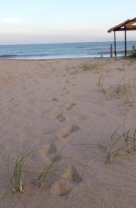 footprints in the sand on the beach at Cabañas Puerto Surf in Mar del Plata