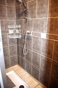 a shower with a shower head in a bathroom at La Tanière du LoupBlanc, 8mn du Zoo de Beauval in Châteauvieux