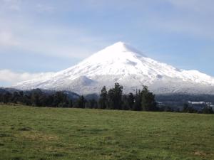 a snow covered mountain with a field and trees at La Posada del Colono in Puerto Clocker