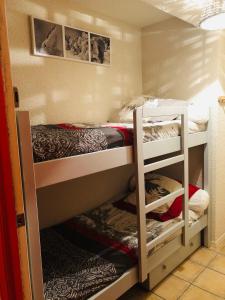 two bunk beds in a small room at Charmant studio Mont Dore in Le Mont-Dore