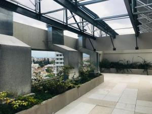 a view from the top of a building with plants at Aires Verdes de Salta in Salta