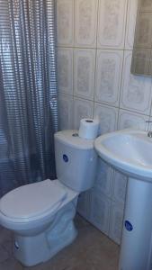 バルディビアにあるDepartamentos Arlenneのトイレと洗面台付きのバスルーム