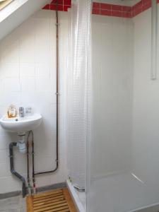 a bathroom with a shower and a sink at Les Abeilles in Saint-Nazaire