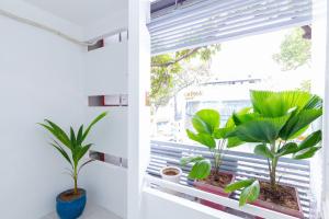 Gallery image of Sai Gon Homestay in Ho Chi Minh City