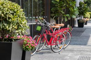 Đạp xe trong hoặc quanh ALVA HOTEL BY ROYAL