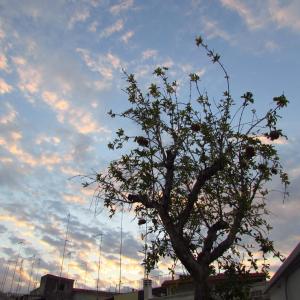 Fotografie z fotogalerie ubytování B&B La Muraglia v Bari