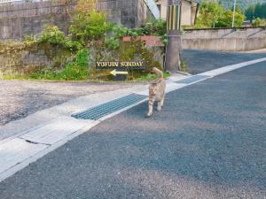 O animal ou animais de estimação com os hóspedes em Yufuin Sunday