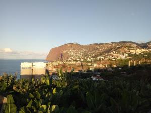 ein Blick auf eine Stadt und das Meer mit einem Berg in der Unterkunft Victoria 1942 in Funchal + 6 Fotos