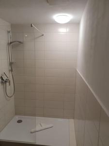 a bathroom with a shower with a glass door at Ferienwohnung Warnemünde - Landhaus Immenbarg in Diedrichshagen