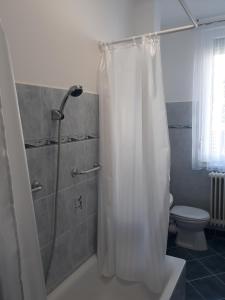 a bathroom with a shower and a toilet at Sport Apartman Tapolca in Tapolca