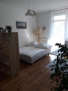 a bedroom with a bed and a plant in a room at Sport Apartman Tapolca in Tapolca