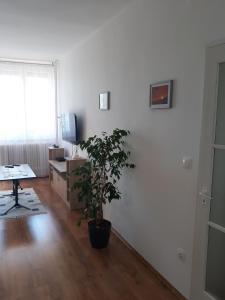 A television and/or entertainment centre at Sport Apartman Tapolca