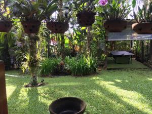 a garden with potted plants and a table at Sunflowerbungalow in Khao Lak