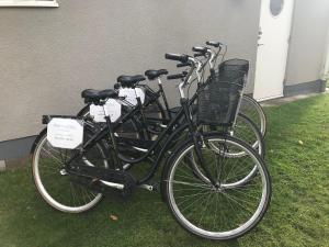 Attività di ciclismo presso l'hotel o nelle vicinanze