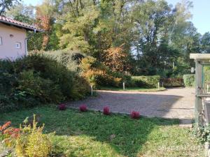 大希尔马Kleines Gartenhaus am Mahler的相册照片