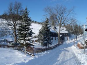 a snow covered yard with trees and a house at Haus Talruhe in Kurort Altenberg +6 photos