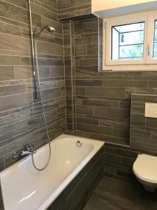 a bathroom with a bath tub and a toilet at Alpes Rez in Neuchâtel