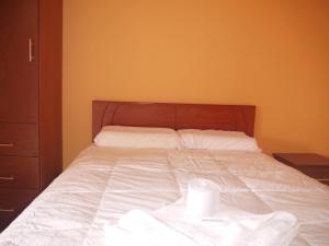 胡利亚卡Hotel Suite Juliaca的相册照片