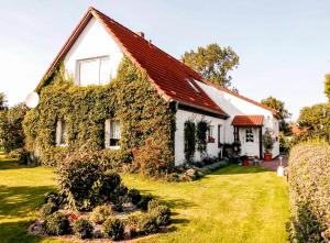 Bungalow und Ferienwohnung auf Rügen外面的花园