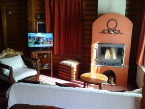 a living room with a fireplace and a tv at Stivakti Chalet in Áyios Nikólaos
