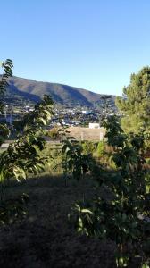 Blick auf eine Stadt von einem Hügel mit Bäumen in der Unterkunft Casa Penelas in Petín
