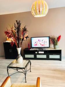 a living room with a television and a vase with flowers at Near DISNEYLAND. Your location to enjoy holidays. in Bussy-Saint-Georges
