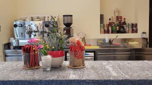 una cucina con tre vasi e fiori su un bancone di BnB Ai Cav Calanca a Arvigo