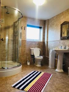 a bathroom with a shower toilet and a sink at Cliff haven in Borth