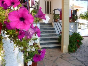 Zahrada ubytování Kostas studios