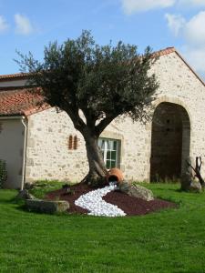 a tree in front of a house with rocks around it at La Minaudière in Nueil-sous-les-Aubiers