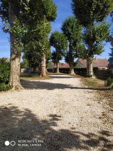 uma entrada de cascalho com árvores num quintal em Au Cocon de Sologne em Soings-en-Sologne