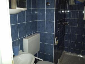 een blauwe betegelde badkamer met een toilet en een douche bij Apartments Holiday in Lumbarda