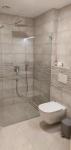 a bathroom with a shower with a toilet and a glass shower at Vila Mojca - Studio 13 in Kranjska Gora