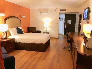 Billede fra billedgalleriet på 7 boutique hotel i Pratt