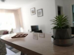 um vaso de planta sentado numa mesa numa sala de estar em Garni Hotel Plava Laguna em Cuprija