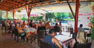 Gallery image of Camping Nopigia in Kissamos +32 photos
