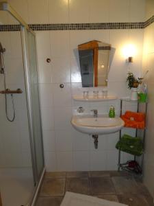 a bathroom with a sink and a shower at Bio-Bauernhof Haunschmid in Ardagger Markt
