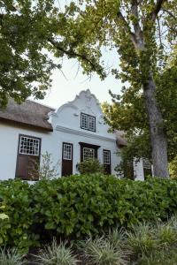 Una casa blanca con un árbol delante. en Blaauwklippen Manor by NEWMARK en Stellenbosch