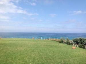 a field of grass with the ocean in the background at 4Sea House in Porto Covo