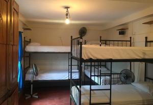 a group of bunk beds in a room at Hostal La Tortuga Booluda in León